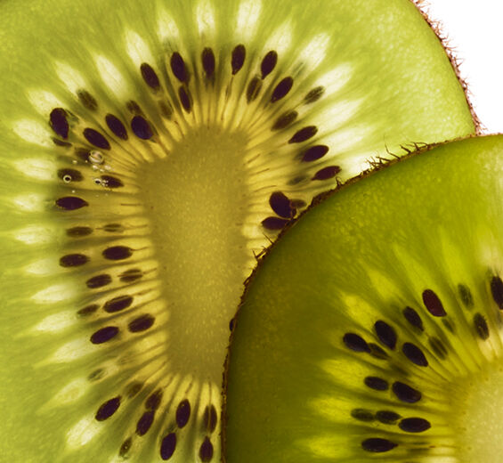 Kiwi-Extracto de kiwi bio-Actinidia chinensis (kiwi) fruit extract