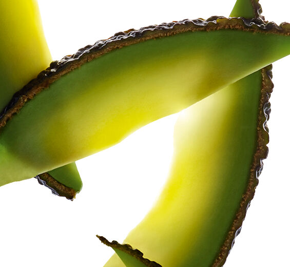 Aguacate-Insaponificable de aguacate-Persea gratissima (avocado) oil unsaponifiables