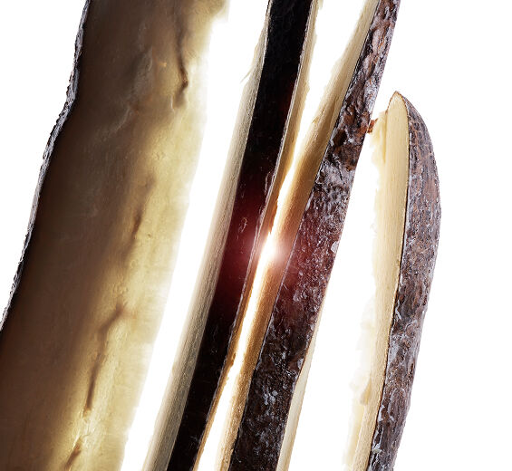 Mandioca-Polvo de yuca bio-Tapioca starch