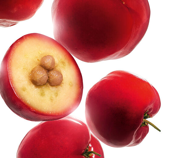 Acerola-Extracto de acerola-Malpighia emarginata (acerola) fruit extract