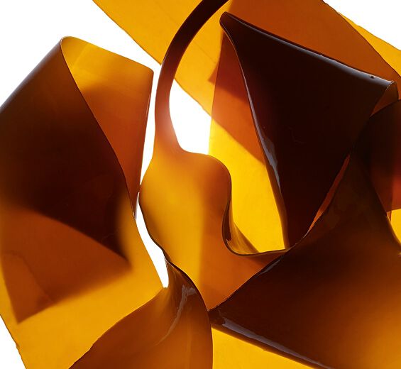 Laminaria-Extracto de laminaria-Laminaria digitata extract