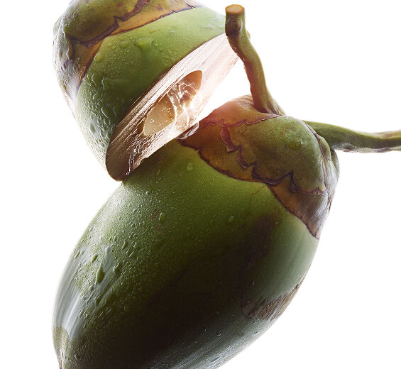 Cocotero-Agua de coco bio-Cocos nucifera (coconut) fruit juice