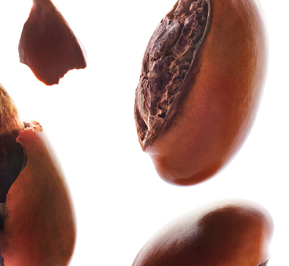 Karit&eacute;-Insaponificable de karit&eacute; (planta bio)-Butyrospermum parkii (shea) butter