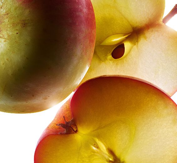 Manzano-Extracto de manzana bio-Malus Domestica Fruit Extract