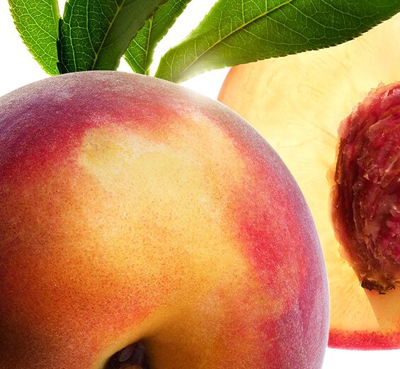 Melocotonero-Leche de melocotonero-Prunus persica (peach) leaf extract