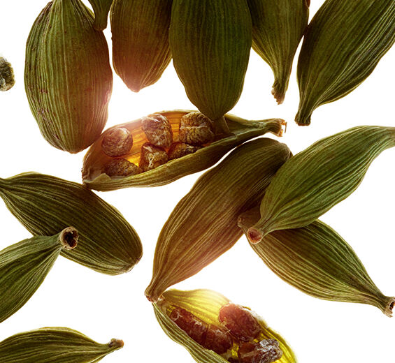 Cardamomo-Aceite esencial de cardamomo-Elettaria cardamomum seed oil