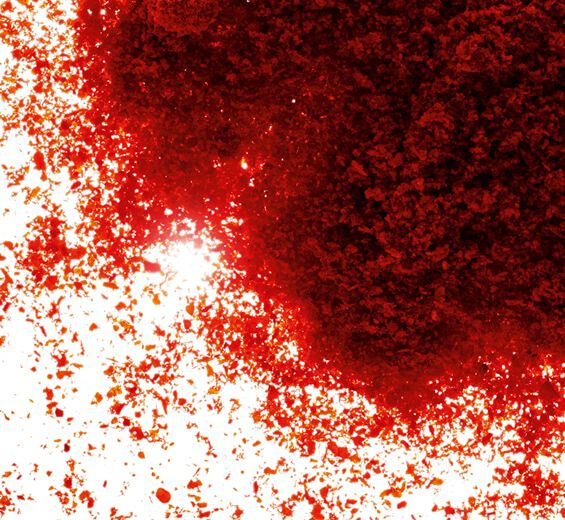 Paprika-Extracto de paprika-Capsicum annuum fruit extract