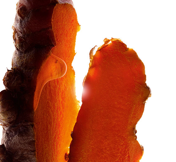 Cúrcuma-Extracto de cúrcuma-Curcuma longa (turmeric) root extract