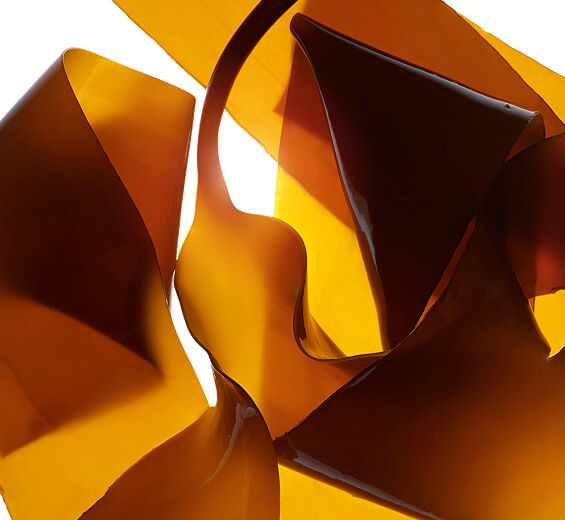 Laminaria-Extracto de laminaria-Laminaria digitata extract