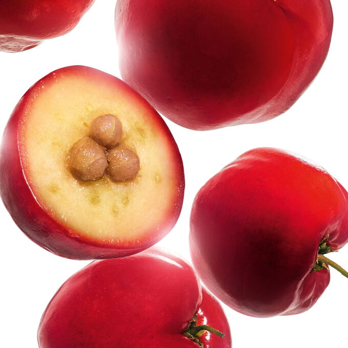 RE-BOOST Cr&egrave;me Teint&eacute;e Hydra-&Eacute;nergisante con extracto de semilla de acerola