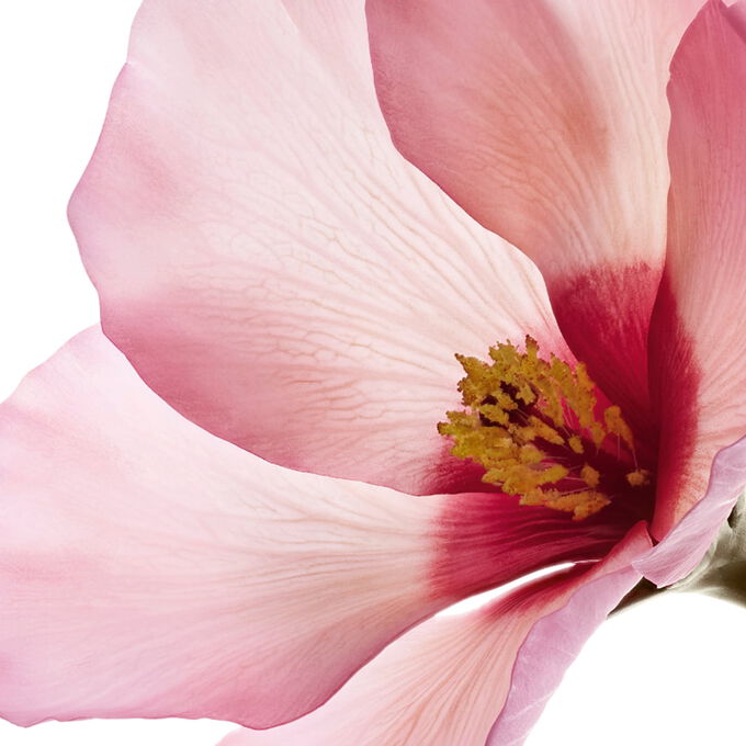 Beneficios de PURE-RESET Gel Matit&eacute; Imperfections sobre las imperfecciones