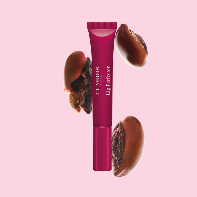 Tubo de Plumping Lip Perfector mostrado con semillas de karit&eacute; crudas para resaltar la intensa f&oacute;rmula de cuidado labial con efecto nutritivo profundo.