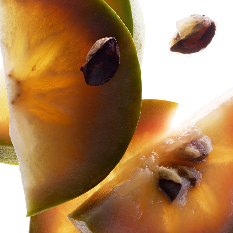 Caimito Caimitero-Extracto de vu sua-Chrysophyllum cainito fruit extract