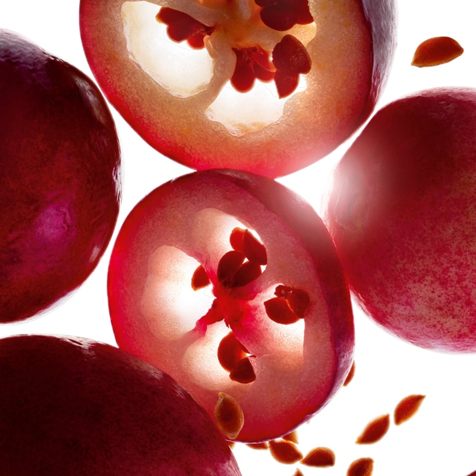 Arándano rojo-Aceite de arándano rojo bio-Vaccinium macrocarpon (cranberry) seed oil