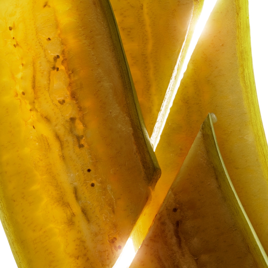 Banano-Extracto de banana verde bio-Musa sapientum (banana) fruit extract