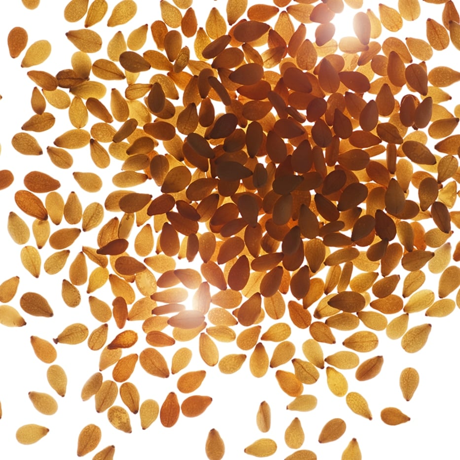 Sésamo-Aceite de sésamo bio-Sesamum indicum (sesame) seed oil