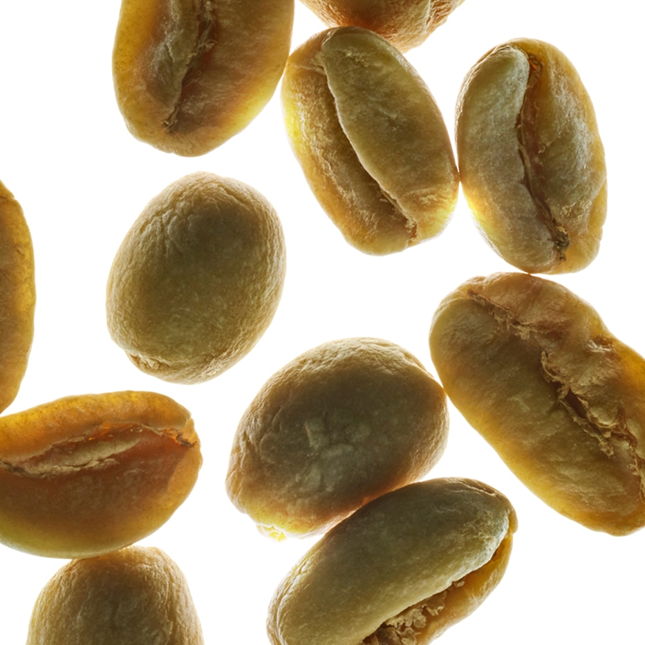 Cafeto arabica árbol de café arábica-Cafeína vegetal-Caffeine