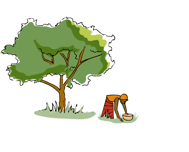 Ilustración de un árbol Bálsamo Superhidratante para el Cuerpo