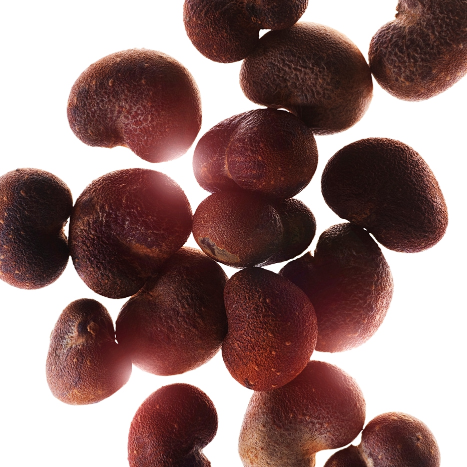 Baobab-Extracto de baobab-Hydrolyzed adansonia digitata extract