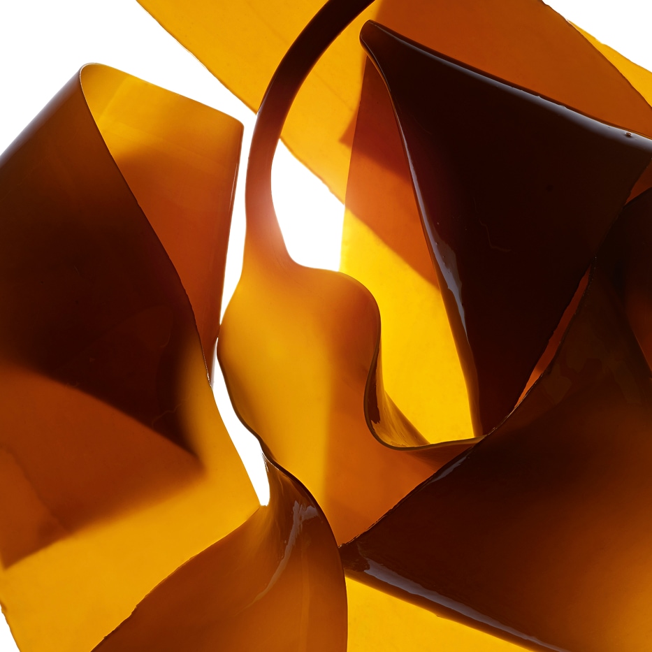 Laminaria-Extracto de laminaria-Laminaria digitata extract