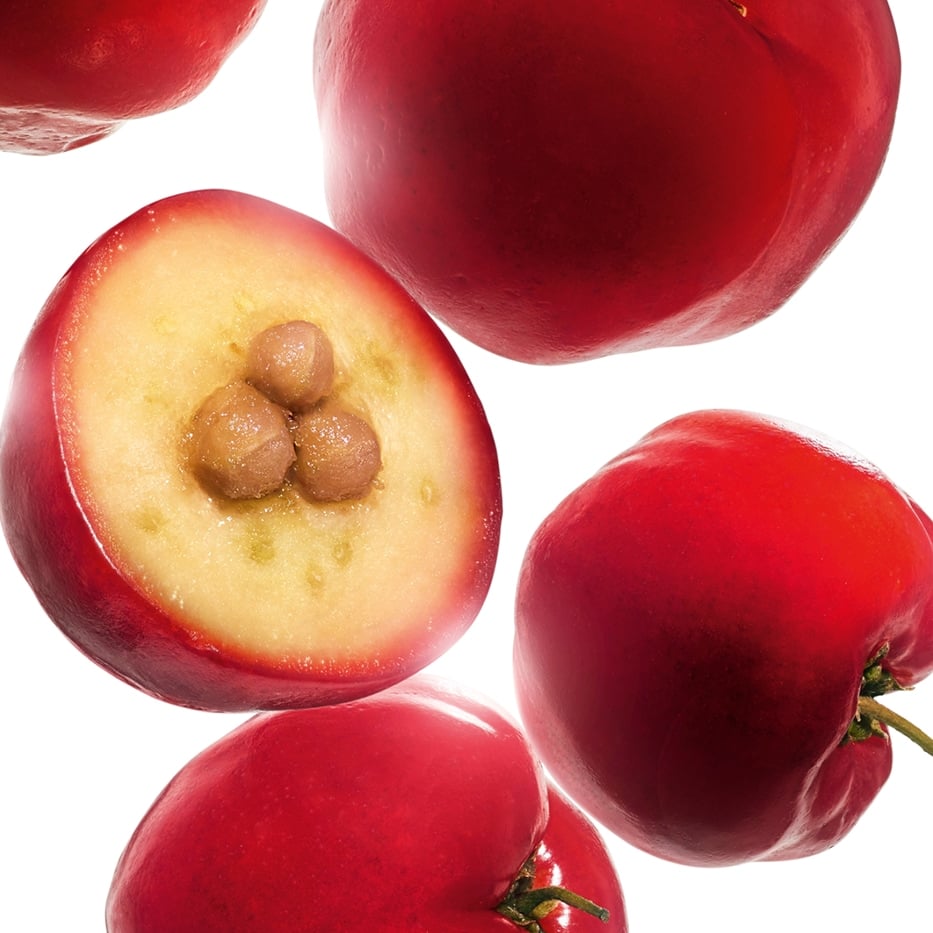 Acerola-Extracto de acerola-Malpighia emarginata (acerola) fruit extract