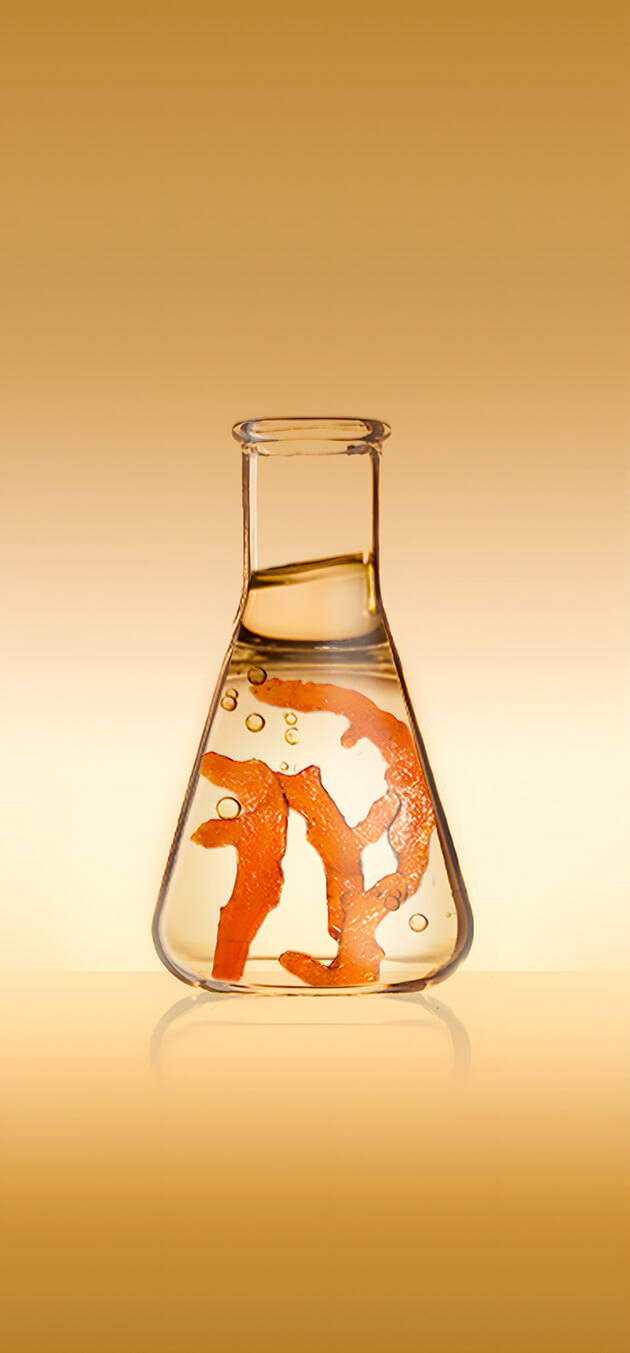 Pantalla del juego con 7 probetas en línea con ingredientes vegetales en su interior.