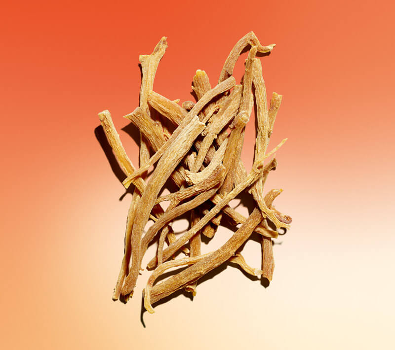 ¿Cuáles son las propiedades del ginseng rojo?