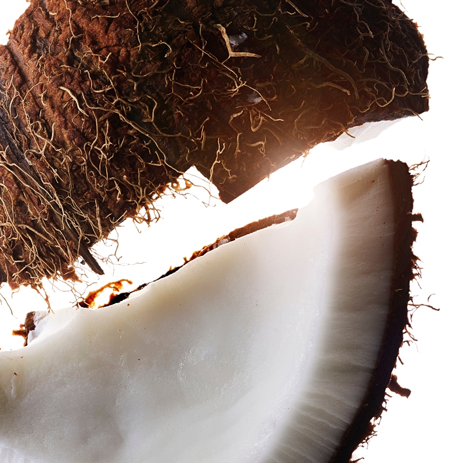 Cocotero-Aceite de coco-Cocos nucifera (Coconut) oil