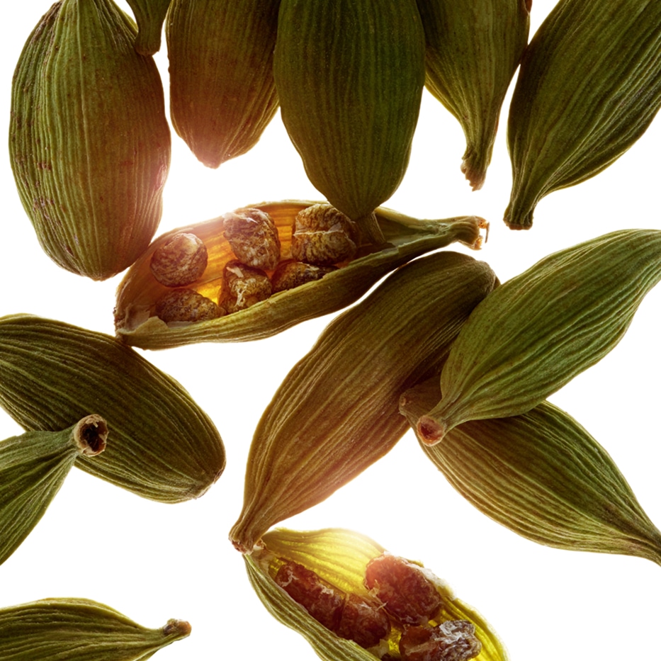 Cardamomo-Aceite esencial de cardamomo-Elettaria cardamomum seed oil