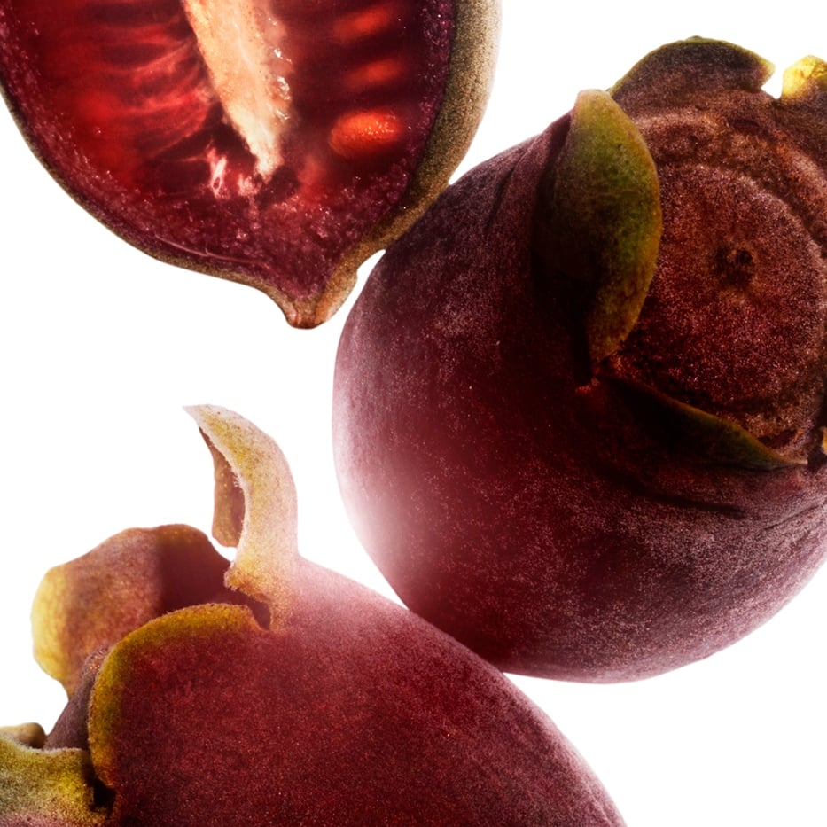 Rose-Myrtle-Extracto de mirto rosa-Rhodomyrtus tomentosa fruit extract