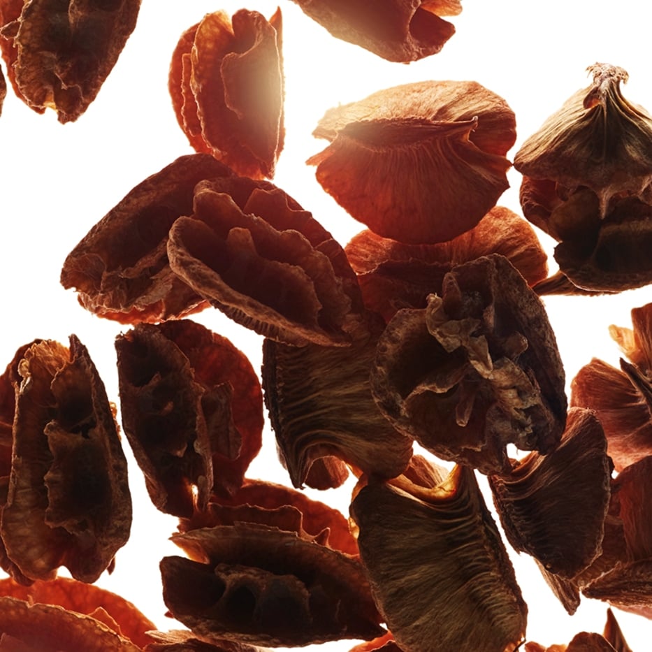 Acerola-Extracto de semilla de acerola.-Malpighia emarginata (acerola) seed extract