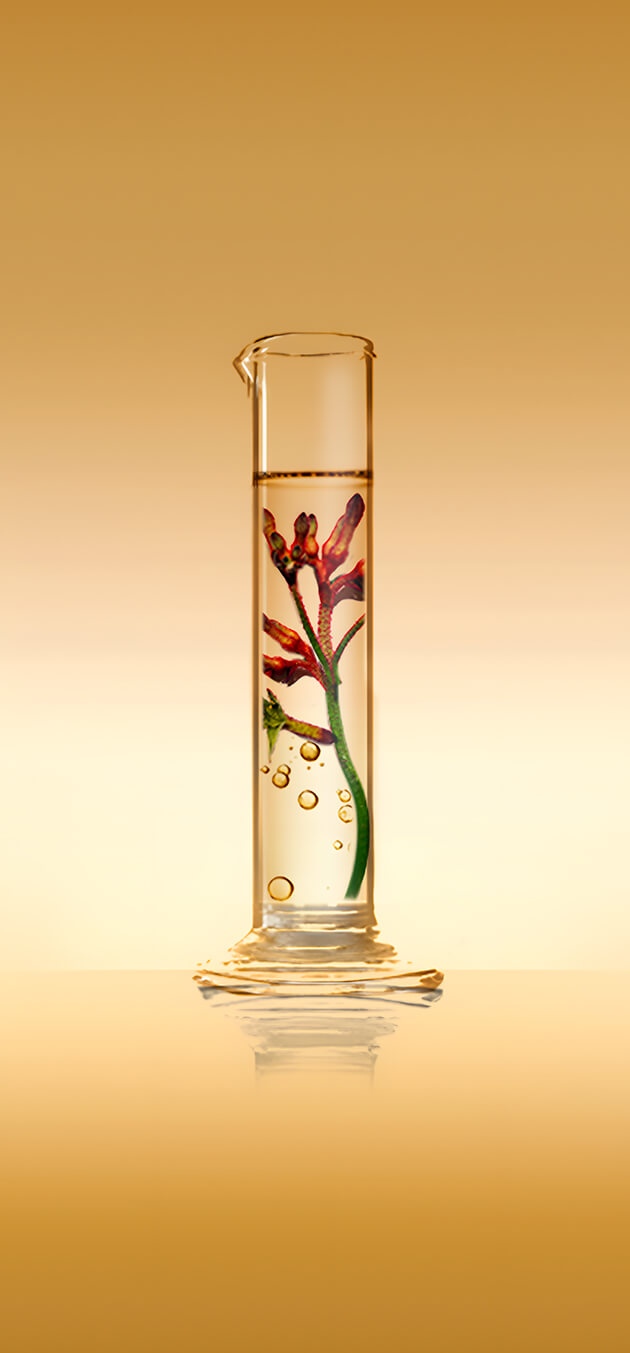 Pantalla del juego con 7 probetas en línea con ingredientes vegetales en su interior.