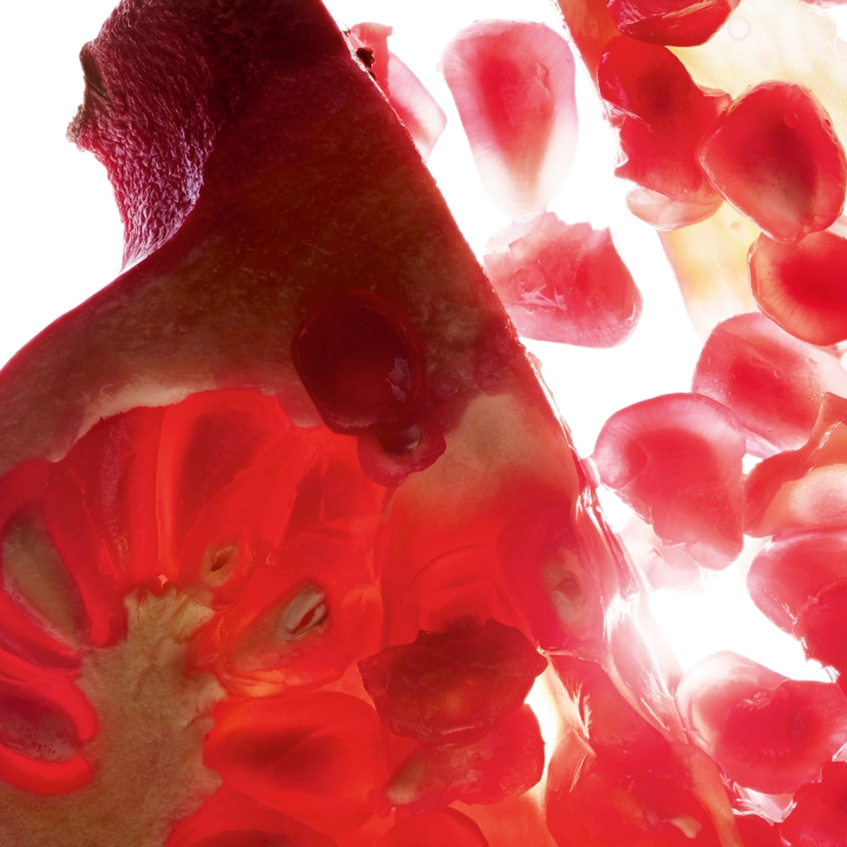 Granado-Extracto de granada (planta bio)-Punica granatum bark extract