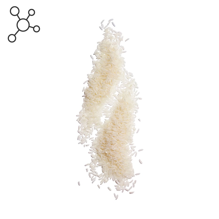 Arroz-Gamma-oryzanol-Oryzanol