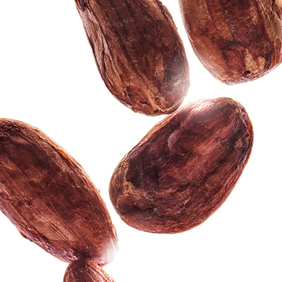 Cacao-Extracto de cacao bio-Theobroma cacao (cocoa) seed butter